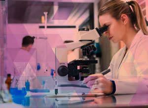 Calidad y Medio ambiente